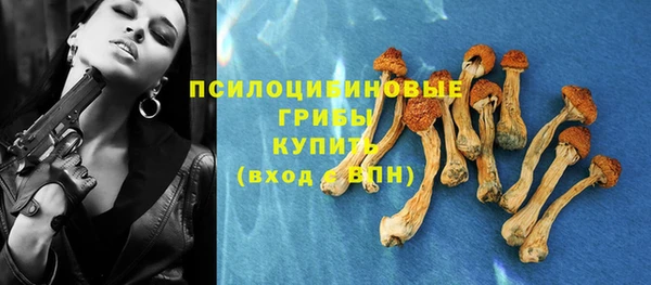 метадон Арсеньев