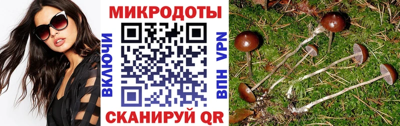 Галлюциногенные грибы прущие грибы  Лыткарино 