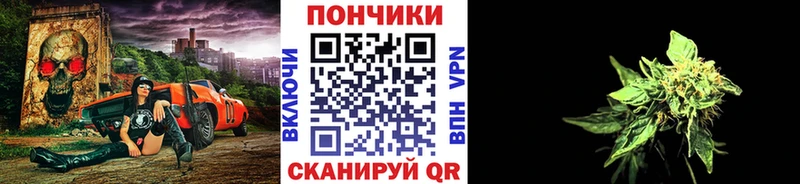 Конопля гибрид Лыткарино